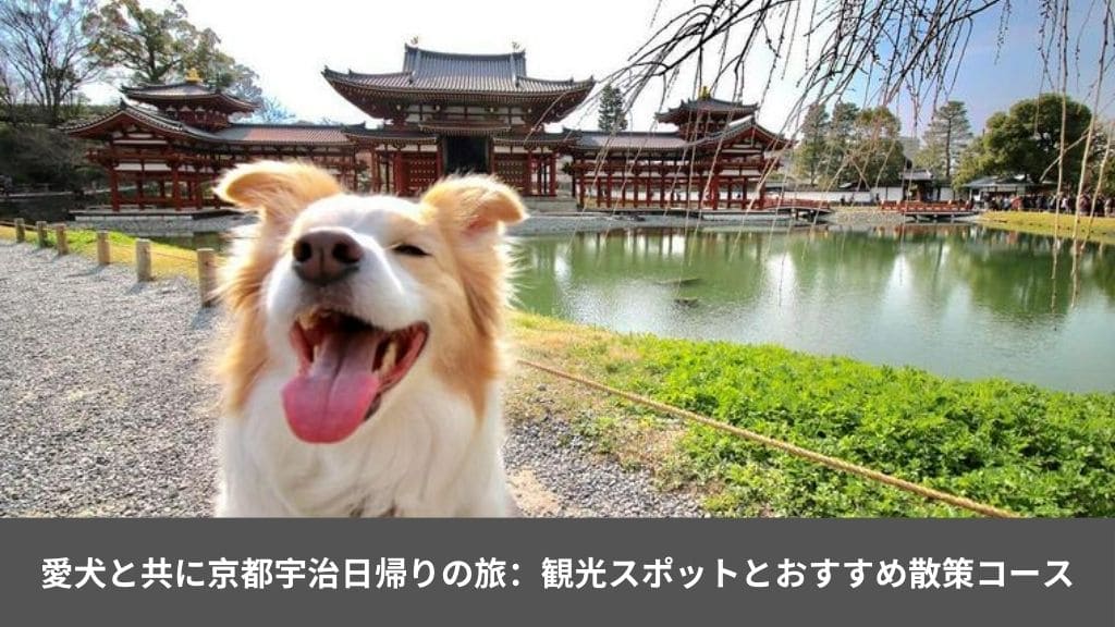 愛犬と共に京都宇治日帰りの旅